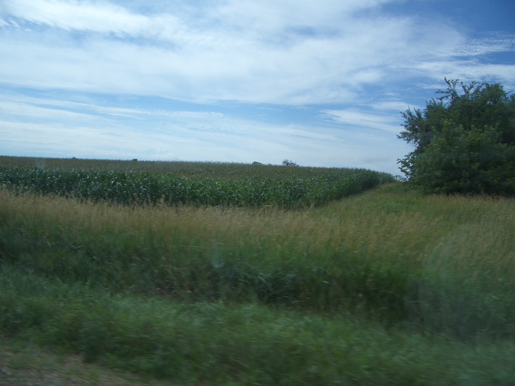 IMGP1537.JPG