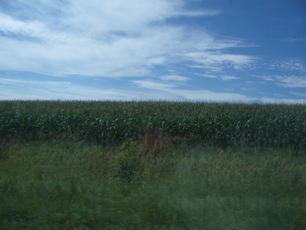 IMGP1538.JPG