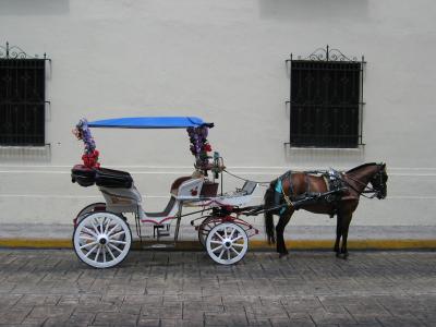Calesa. Old-style handsome cab