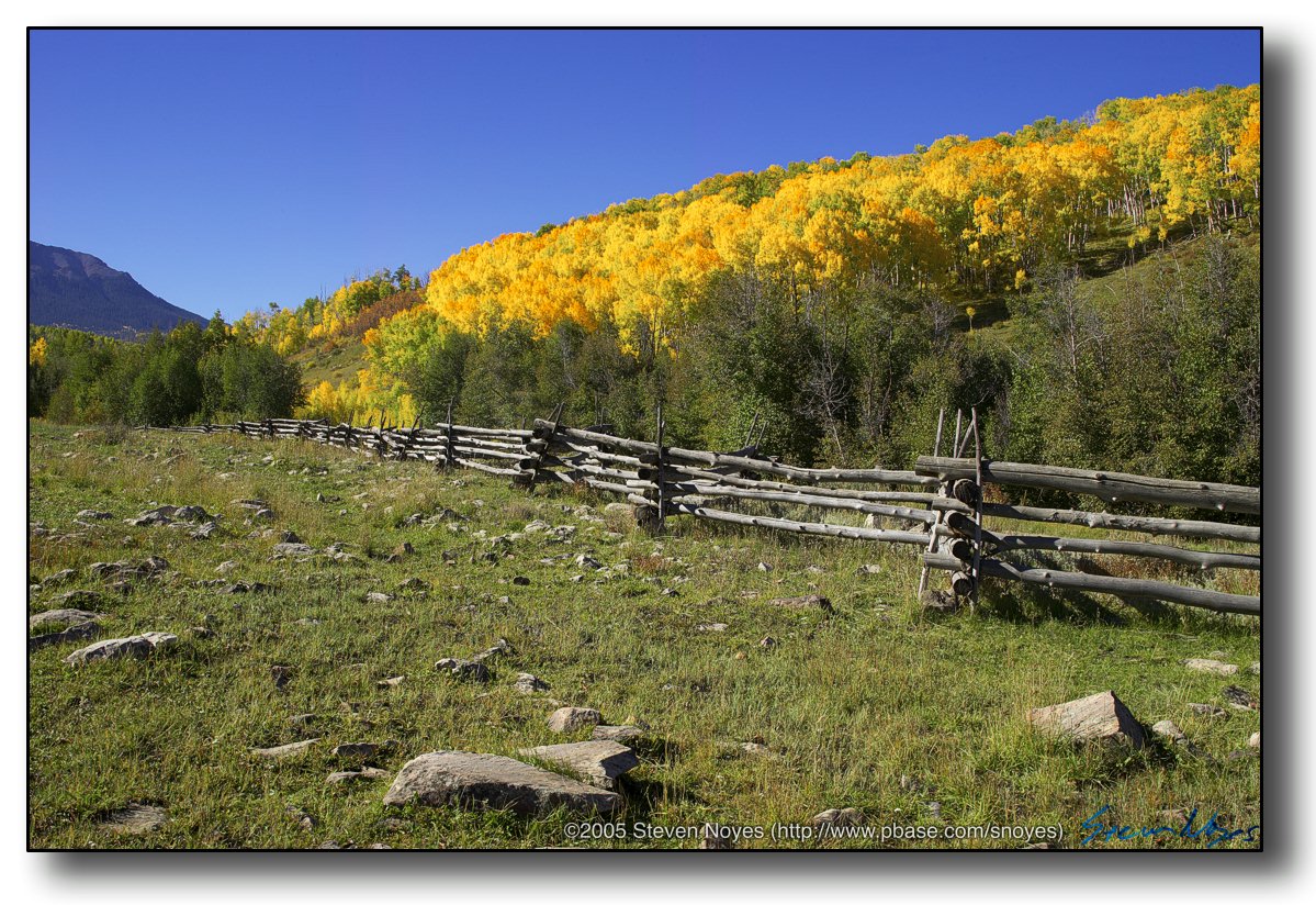 Colorado : Road Kill : Wood Fence