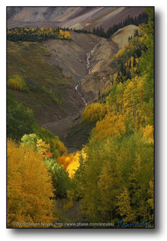 Colorado : Ophir Canyon : Looking Up Chapman Gulch