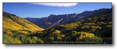 Colorado : Ouray : Aspen