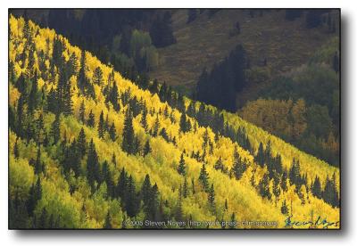 Colorado : Ophir Canyon : Vivid Hill