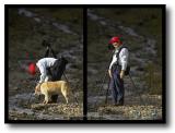 Colorado : Ophir Canyon : Dog Fix