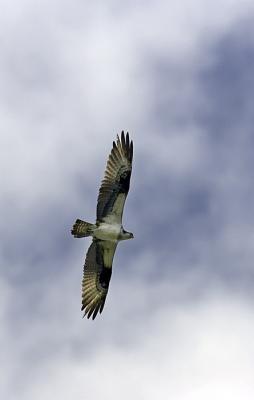 IMG_13397.jpg