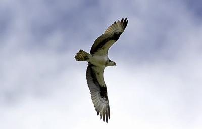IMG_13398-2.jpg