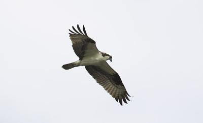 IMG_13405.jpg