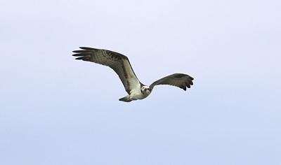IMG_13420.jpg