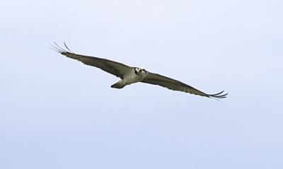 IMG_13421.jpg