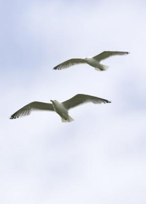 IMG_13477.jpg