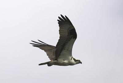 IMG_13516.jpg