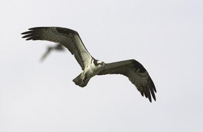 IMG_13522.jpg
