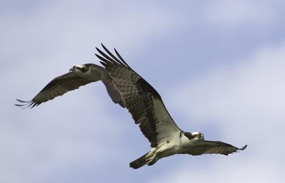 IMG_13534.jpg