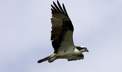 IMG_13541.jpg