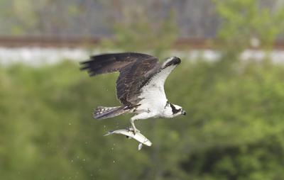 IMG_13548.jpg