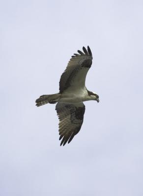 IMG_13549.jpg