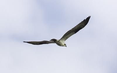 IMG_13559.jpg