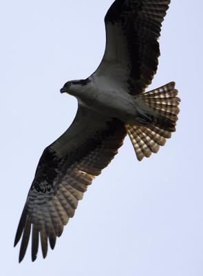 IMG_13732.jpg