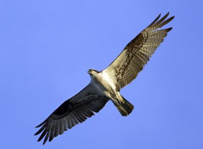 IMG_13753.jpg