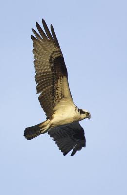 IMG_13784.jpg