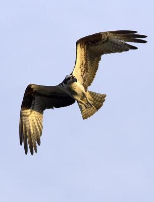 IMG_13805.jpg