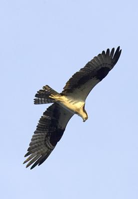 IMG_13918.jpg