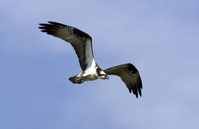IMG_14102.jpg