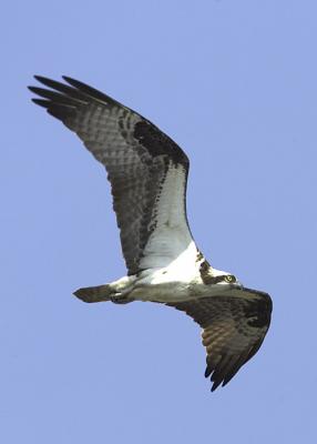 IMG_14108.jpg