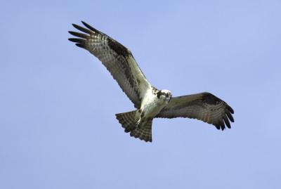 IMG_14143.jpg