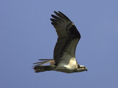 IMG_14279.jpg