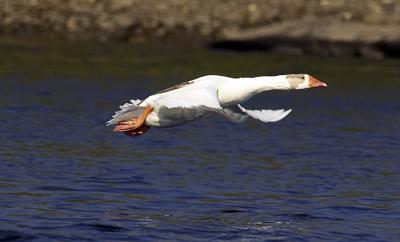 IMG_14285.jpg