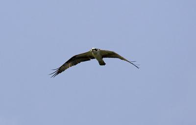 IMG_14304.jpg