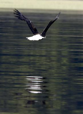 IMG_14522.jpg