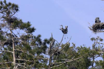 IMG_14634.jpg