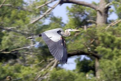IMG_14677.jpg