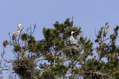 IMG_14695.jpg