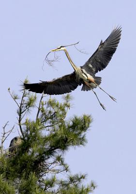 IMG_14712.jpg