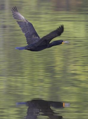 IMG_14784.jpg