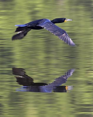 IMG_14788.jpg