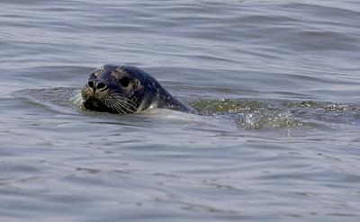 IMG_14909.jpg