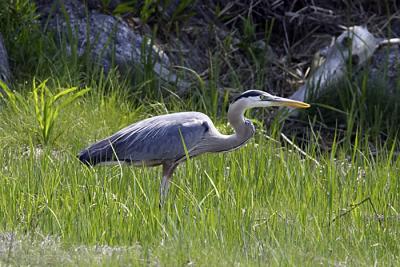 IMG_14922.jpg