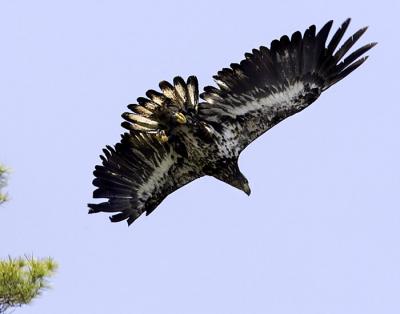 IMG_14946.jpg