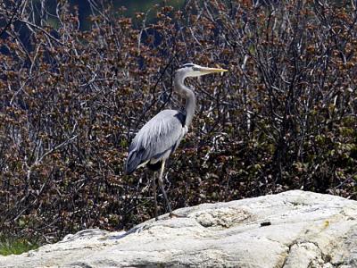 IMG_14956.jpg