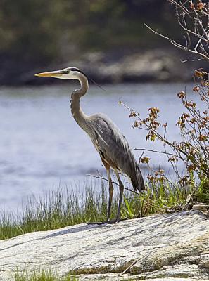 IMG_14970.jpg