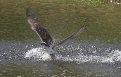 IMG_15129.jpg