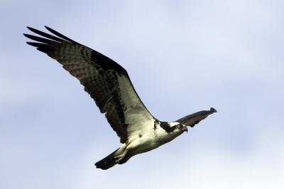 IMG_13531.jpg