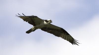 IMG_13532.jpg