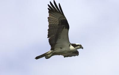 IMG_13541.jpg