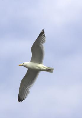 IMG_13615.jpg