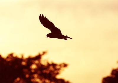 IMG_13864.jpg